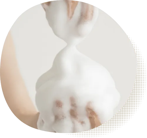 乳酸菌の画像