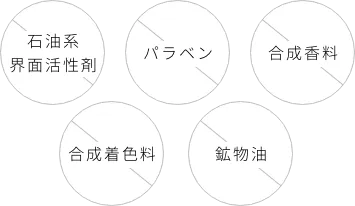 乳酸菌の画像